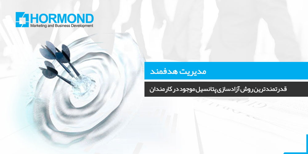 مدیریت هدفمند