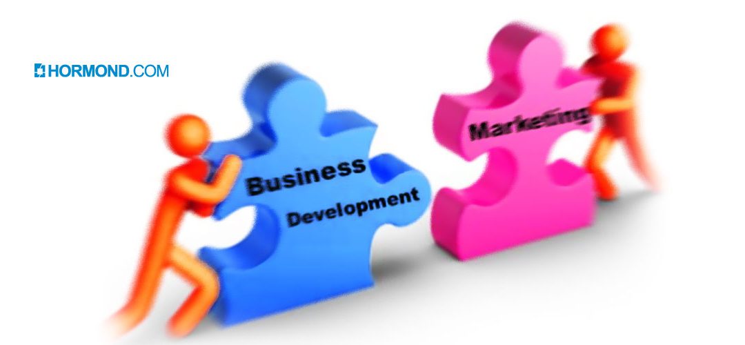 بازاریابی و توسعه کسب و کار