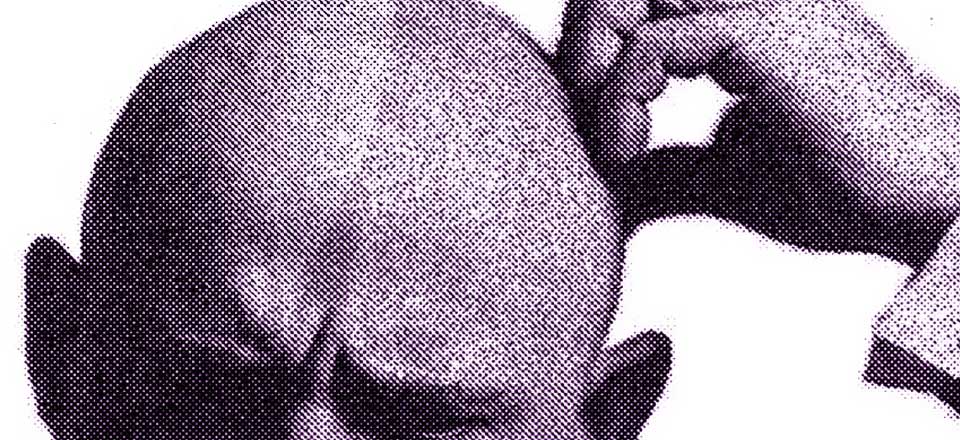 نگرش فلسفی به برند!