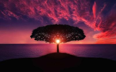 بازاریابی انگیزشی و اهمیت آن برای کسب و کار شما