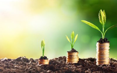 زنجیره های ارزش شرکت چیست؟