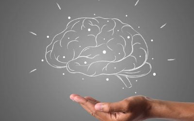 7 اصل نورولیدرشیپ بر مبنای نظریات الگر