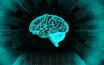نورواکونومیکس یا اقتصاد عصبی چیست؟