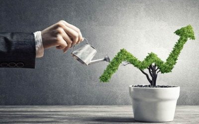 چگونه کسب‌وکار کوچک خود را به یک کسب و کار بزرگ تبدیل کنیم؟