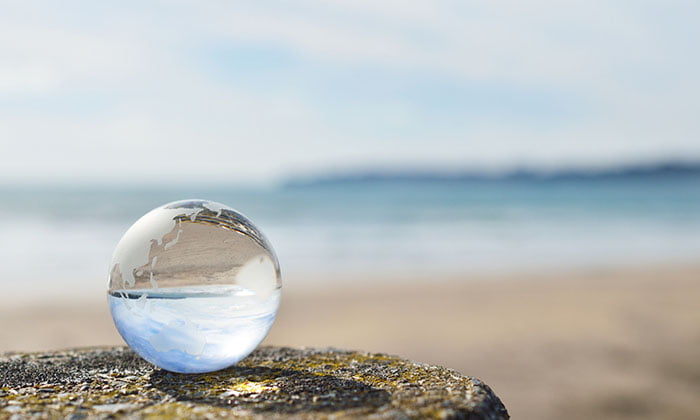 شفافیت در کسب و کار چیست؟